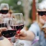 Bedste Vinilter i Test 2024 – Forbedre Vinens Smag og Aroma